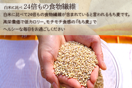 【 熊本県産 もち麦 】3kg(500g×6袋) 白米 と 炊くだけ！【 もちもち もちむぎ 麦 もち麦 ヘルシー 食感 ぷちぷち 食物繊維 炊飯 健康 高栄養 ポリフェノール  熊本県 多良木町産 