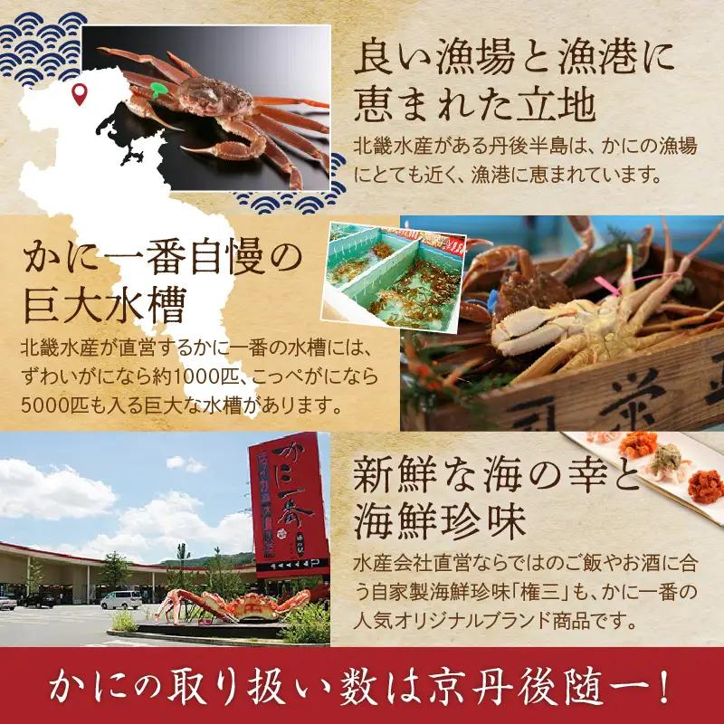 かに卸問屋がお届け・自社釜ゆで！山陰沖ゆで松葉がに 700ｇ～800ｇ 中大サイズ（1月～3月発送）／北畿水産 かに