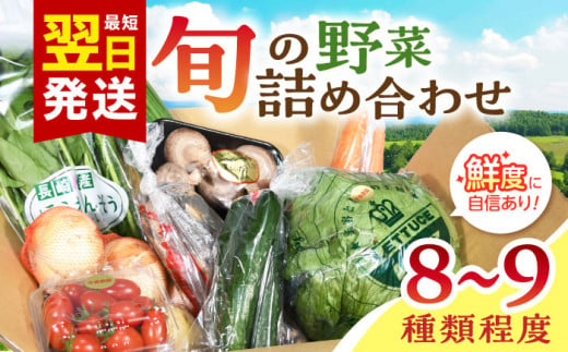 諫早産野菜の詰め合わせ 8〜9品目程度 / 季節 旬 野菜 やさい セット 春野菜 夏野菜 秋野菜 詰め合わせ / 諫早市 / 肥前グローカル株式会社[AHDI004]