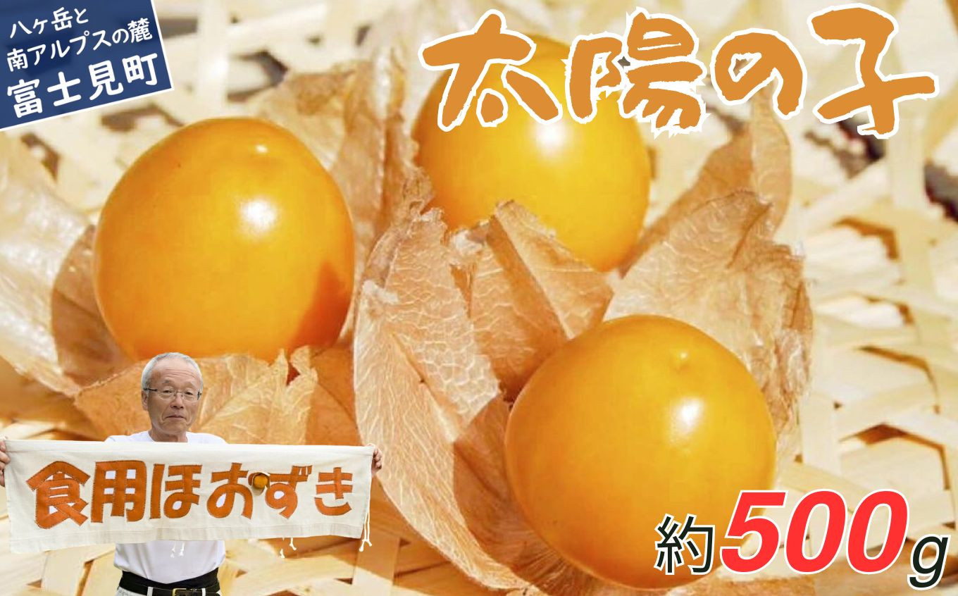 【2026年9月上旬から順次発送】 フルーツほおずき 太陽の子 500g ビタミンA 鉄分 イノシトール 食用ほおずき バディアス農園 ★