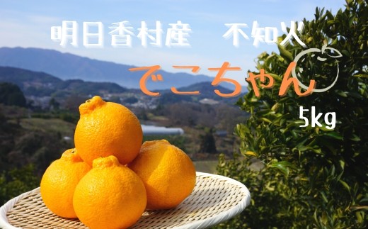 【2026年3月中旬発送】でこちゃん　約5kg 【不知火】