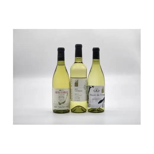 塩尻産ワイン シャルドネ 3本セット