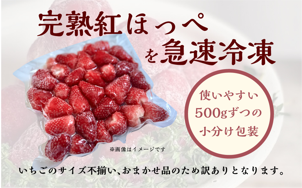 【2026年5月より発送】《 訳あり 》 冷凍いちご 紅ほっぺ 3kg (500g × 6p) 簡易梱包 サイズ 不揃い のため 訳あり 訳アリ フルーツ 果物 苺 いちご イチゴ アイス ヨーグルト