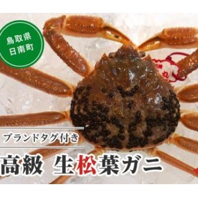 ふるさと納税 日南町 OM26【早期先行予約】ブランドタグ付高級生松葉ガニ(約1kgを1枚)