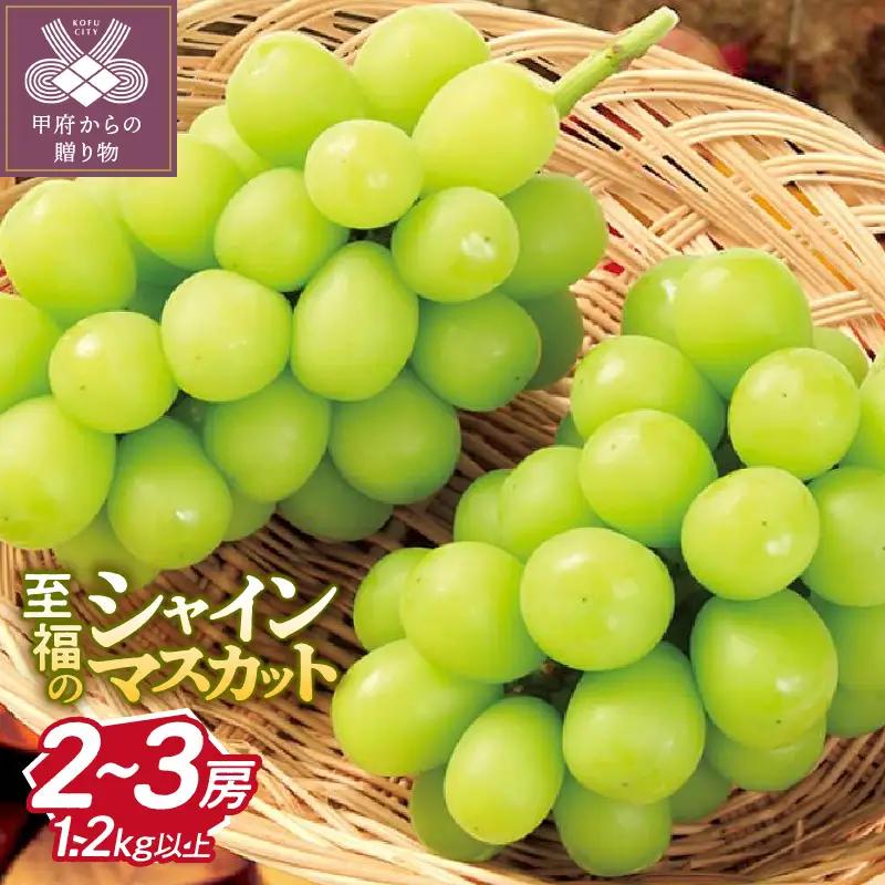 〈2027年度配送分〉至福の山梨県産シャインマスカット 2～3房（1.2kg以上）シャインマスカット フルーツ