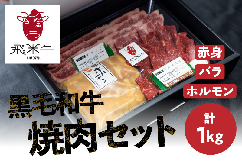 
                  ＜8月から寄附額改定＞《簡易包装》飛米牛焼肉セット 1kg 赤身 / バラ各300g×2 味付けホルモン200g×2 焼肉 焼肉セット 食べ比べ 牛肉 お取り寄せ 詰め合わせ キャンプ BBQ バーベキュー 30000円 3万円　Q2429
                