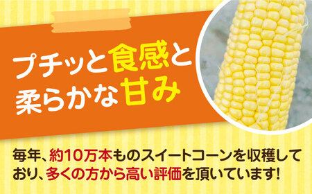 【先行予約受付　2025年6月頃より順次発送】【冷蔵配送】農家直送 朝どれ スイートコーン 約4kg（9～12本入り）《豊前市》【湯越農園】 野菜 コーン [VBC001] とうもろこし