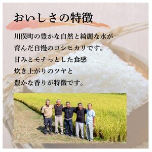 川俣町産 コシヒカリ 精米 5kg【1682407】