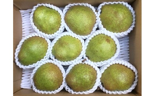 西洋梨（ラ・フランス）３ｋｇ　ご家庭用　0134-2601