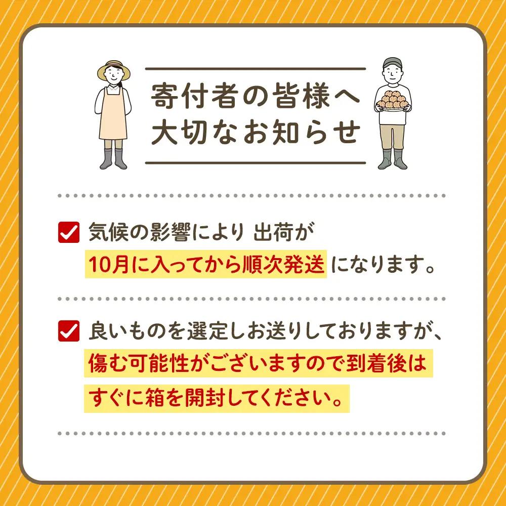 かねひろの黒酢みかん たっぷり 大玉 10kg （2L～3Lサイズ） 【7営業日以内発送】【2026年10月下旬から2027年1月下旬まで発送予定】 みかん ミカン 黒酢みかん 温州みかん 極早生種 