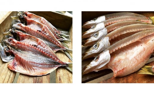 干物 旬の魚 5～6種 セット 旬 国産 ひもの セット 詰め合わせ 海鮮 魚 魚介 海の幸 ヒモノ himono 干し 自家製造 焼魚 焼き魚 さかな サカナ おつまみ 弁当 惣菜 おかず ご飯 ご