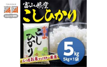富山県産コシヒカリ 5kg 高岡市 米 精米 FAD-2239
