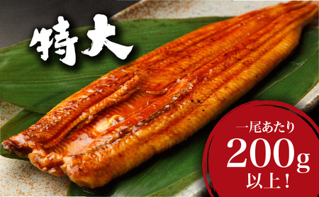 なんと一尾200ｇ以上！！！を4尾◎特選！！肉厚！！特選うなぎYS0002