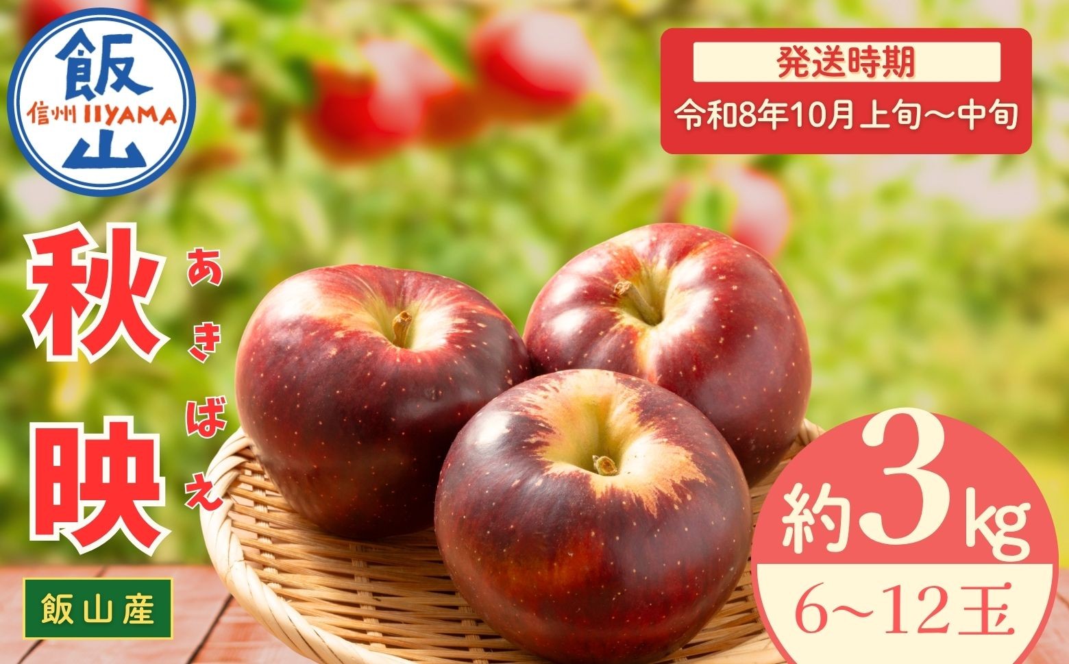 
            【先行予約丨2026年10月上旬より順次発送】秋映【約3kg (6〜12玉)】(At-008)丨長野県 飯山市 おすすめ ランキング おいしい 高評価 大人気 先取り 産地直送 りんご 秋映
          
