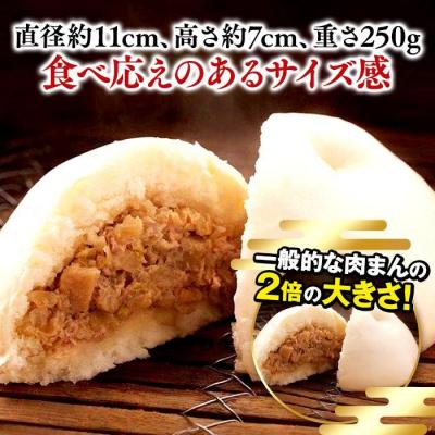 ふるさと納税 横浜市 横浜中華街 江戸清 ブタまんセット(10個) |  | 01
