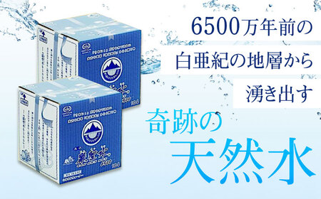 【全12回定期便】飲料 水 ミネラルウォーター 巌聖水6500 10L×2箱入り 広島県福山市/小林商事 ミネラルウォーター ペットボトル 10l 10リットル 保存用 備蓄 防災[BAEA023]