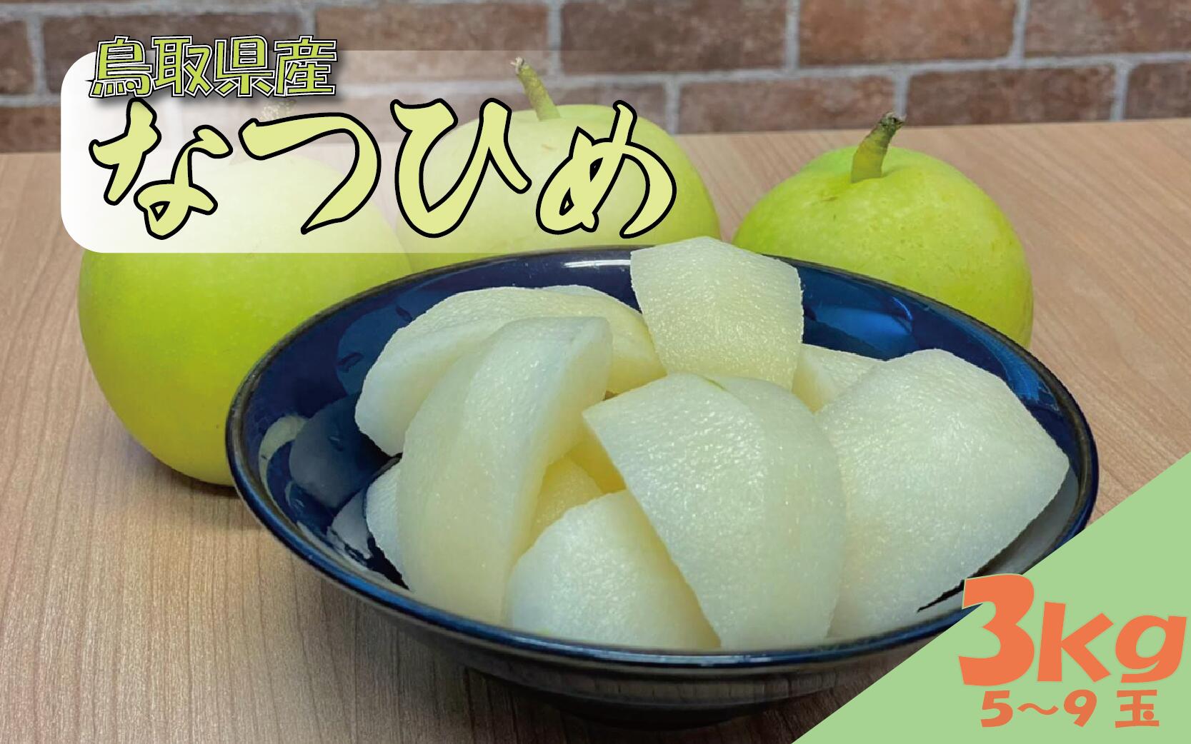 【ふるさと納税】【先行予約】安田農園 梨 ”なつひめ” 3kg箱｜鳥取 梨 なし ナシ 二十世紀梨 果物 フルーツ 2025収穫【41028】