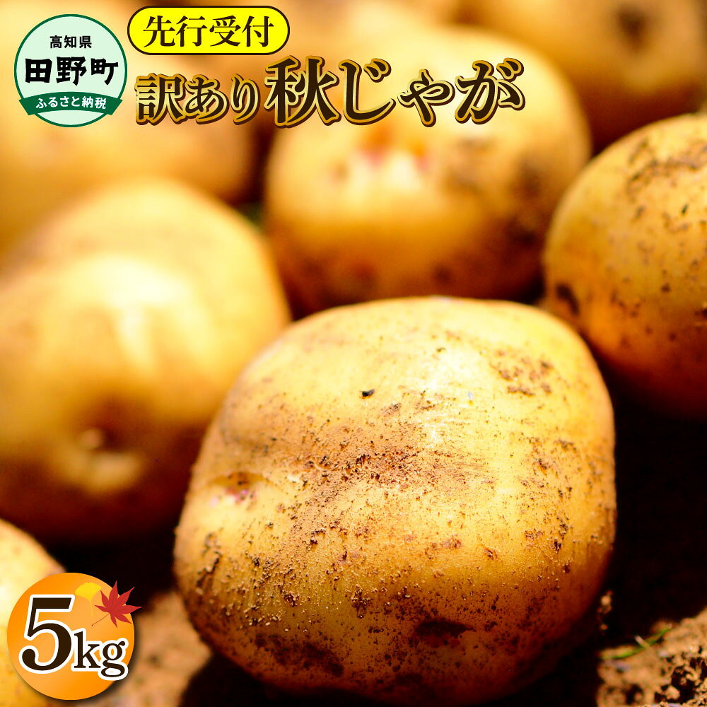 【ふるさと納税】《令和8年11月下旬から順次発送》〜四国一小さなまちのじゃがいも〜 高知県田野町の大野台地で採れた令和8年産『秋じゃが』5kg 訳あり品 不揃い 傷 大野台地 秋じゃが じゃがいも デジマ イモ ジャガイモ 芋 いも 訳あり ポテト 旬 野菜