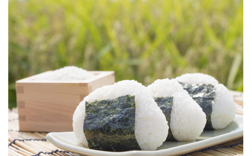 【先行予約 R7年度産新米】山梨県産：コシヒカリ　網倉さん家のお米(８分づき)[5839-9022]