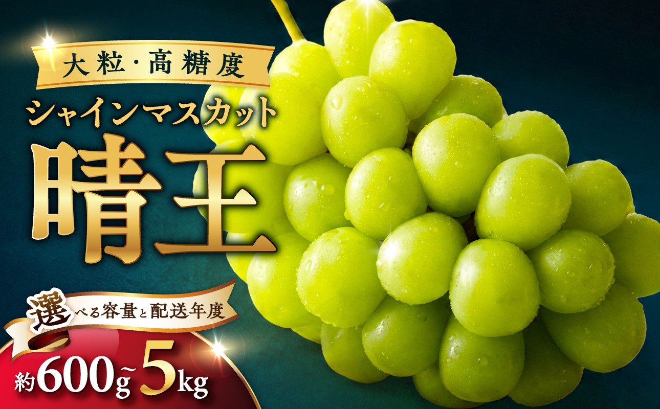 
                  【選べる容量・配送年】シャインマスカット「晴王」秀品 600g 1kg 1.5kg 2kg 5kg【選べる内容量 シャインマスカット 晴王 フルーツ 果物 葡萄 ぶどう 岡山県産 秀品 種無し 高糖度 2026年 2027年 令和8年 令和9年 先行受付 先行予約】
                