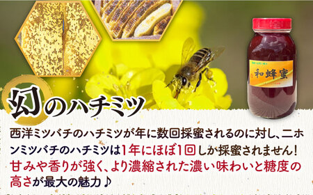 和蜂蜜（ニホンミツバチ） 1.2kg 《壱岐市》【和蜂ファーム壱岐】[JDP007] ハチミツ 蜂蜜 はちみつ 日本ミツバチ 69000 69000円  コダワリはちみつ・蜂蜜・ハチミツ こだわりはち