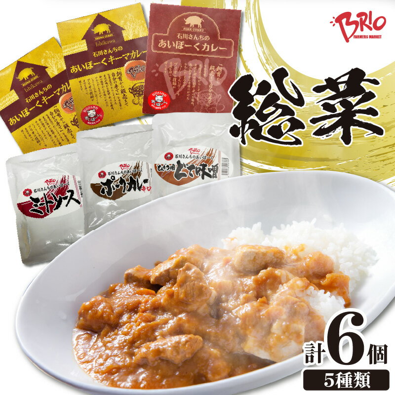 【ふるさと納税】ブリオ あいぽーく 総菜 5種（計6個）セット 計1120g キーマカレー ミートソース とんかつ用どて味噌 カレー ポークカレー 辛口 レトルト 石川養豚場 湯煎 簡単調理 豚カツ どて煮 ギフト美味しい ランチ ディナー 人気 詰合せ 食べ比べ 肉 送料無料肉
