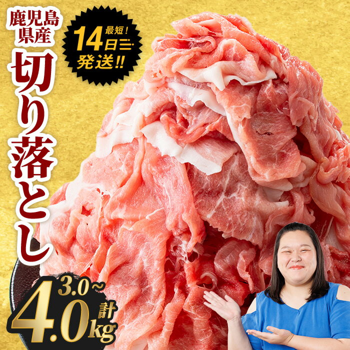 鹿児島県曽於市産の豚肉！曽於ポーク切り落とし3.2kg(400g×8パック)セット！豚肉切り落とし肉