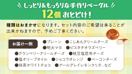 《 種類おまかせ 》 ベーグル 12個 おすすめ セット  詰合せ 食べ比べ bagel 食感 冷凍 パン しっとり もっちり おしゃれ まとめ買い お取り寄せグルメ