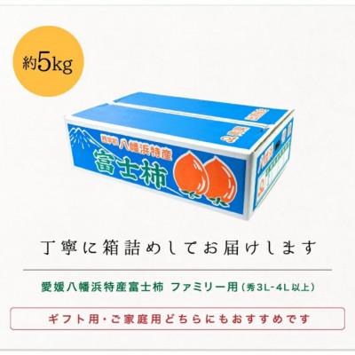 ふるさと納税 八幡浜市 《八幡浜特産 国内最大級の 柿》 富士柿 5kg 種無し【C20-21】 |  | 03