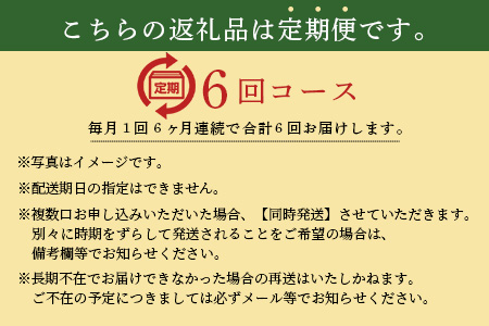   【6ヶ月お届け】肥前の国の農産物大満足定期便 H-10