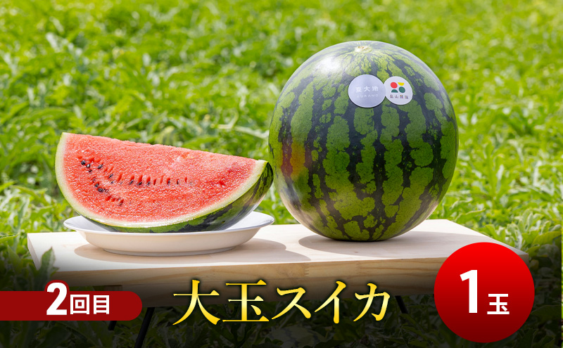 【7・8月 夏の果物 定期便 全2回】2026年夏発送 メロン×1玉 