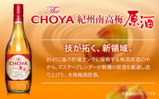THE CHOYA 紀州南高梅 原酒 700ml CRAFT FRUIT クラフトフルーツ 700ml 計2本 セット 飲み比べ 羽曳野商工振興株式会社《30日以内に出荷予定(土日祝除く)》大阪府 羽