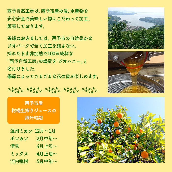 ＜みかん蜂蜜「ジオハニー」170g×2瓶＋柑橘生搾りジュース720ml×1本＞ はちみつ みかん 柑橘 ジュース 非加熱 純粋100％ 飲んで応援 西予自然工房 愛媛県 西予市