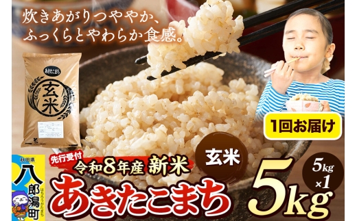 《令和8年産 新米受付》米 あきたこまち 5kg【玄米】秋田県産 [新米 先行予約 先行受付 米 コメ 玄米 あきたこまち おいしい 美味しい 安全 自然の恵み]