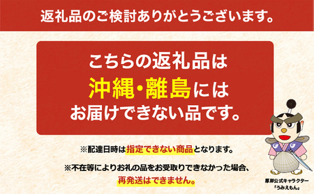 北海道 厚岸産 殻付牡蠣の食べ比べセット！（生食用）  牡蠣 カキ かき 生食 生食用 生牡蠣  食べ比べ