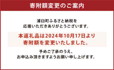 〈令和6年産〉浦臼産 ななつぼし 精白米 10kg （5kg×2袋） 新米 令和6年 米 お米 こめ コメ ブランド米 ごはん ななつぼし 精米 白米 10kg 5kg 2袋 北海道産 北海道 浦臼町