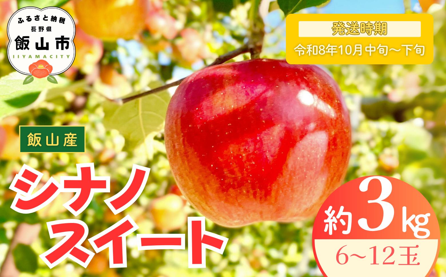 
            【先行予約丨2026年10月中旬より順次発送】シナノスイート【約3kg (6〜12玉)】(At-011)丨長野県 飯山市 おすすめ ランキング おいしい 高評価 大人気 先取り 産地直送 りんご
          