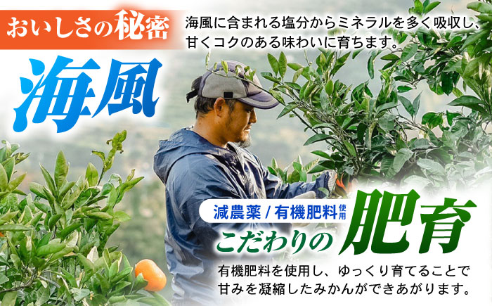 ※【2025年10月発送分／先行予約】《伊木力みかん》家庭用みかん(10kg) / みかん ミカン 蜜柑 フルーツ 果物 / 諫早市 / 山野果樹園 [AHCF001]