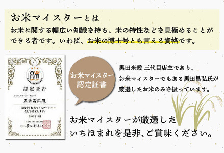 【定期便】（3ヶ月連続お届け）令和5年産 いちほまれ　10kg×3回　計 30kg　