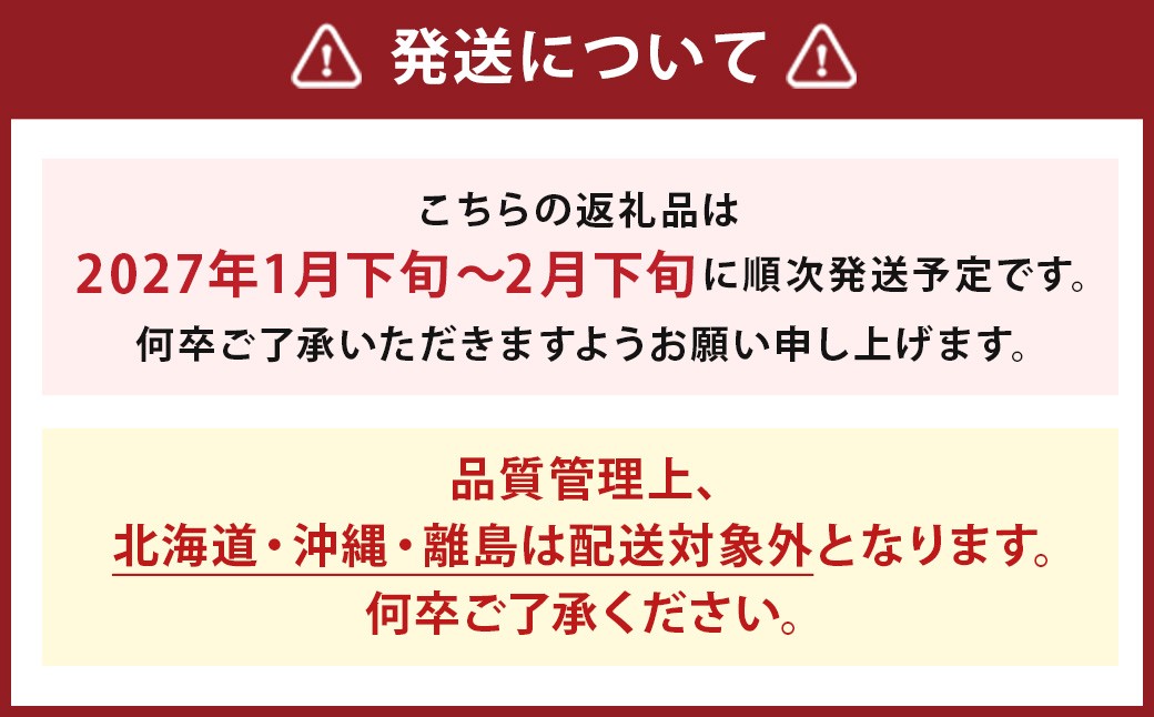  【期間限定】博多 あまおう いちご エクセレント 約450g×2パック