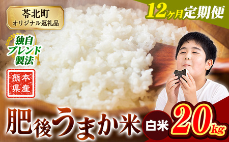 【12ヶ月定期便】肥後うまか米 20kg 白米 《お申込み翌月から出荷》  