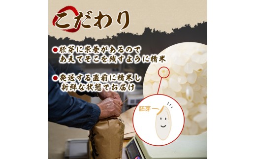 ＜令和8年産 新米 先行予約！＞田舎塾特別栽培米「がんこ米ゆめぴりか」(5kg) 【2026年10月上旬以降順次発送】 米 お米 白米 北海道産 北海道米 ゆめぴりか 特A 一等級 ごはん おこめ コ