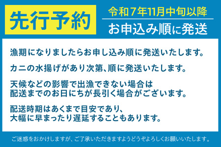 【先行予約】【柴山ガニ 浜茹で 柴山ゴールド（柴山港認定ゴールドタグ付き 最高級柴山ガニ ボイル後重量1.2kg 冷蔵）】11月中旬以降順次発送予定 ふるさと納税 かにすき 焼きガニ カニ刺身 兵庫県