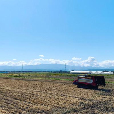ふるさと納税 南陽市 山形県産特別栽培米　雪若丸10kg、 はえぬき10kg袋　計20kg(精米)【S1974】 |  | 01