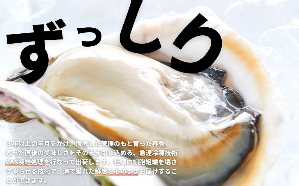 【島のブランド岩牡蠣】岩牡蠣ざんまいセット 岩牡蠣 生食 岩牡蠣フライ グラタン ドリア 炊き込みご飯 グルメ詰め合わせ
