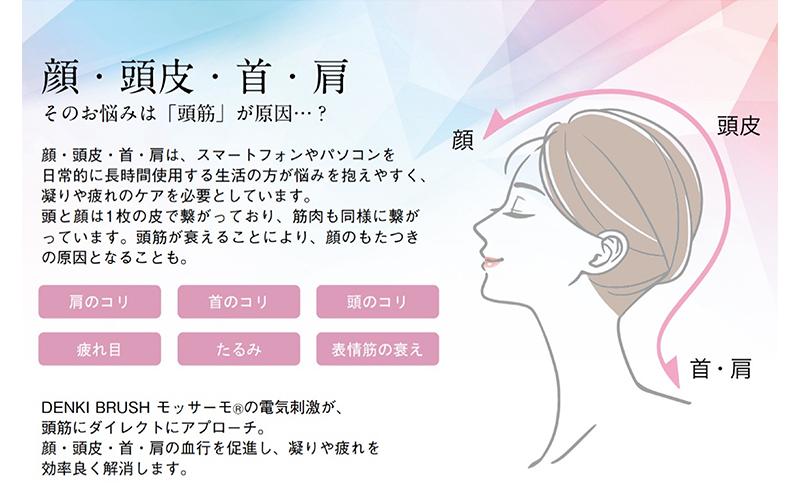 デンキブラシ モッサーモ 頭皮ケアブラシ 美容 健康機器 