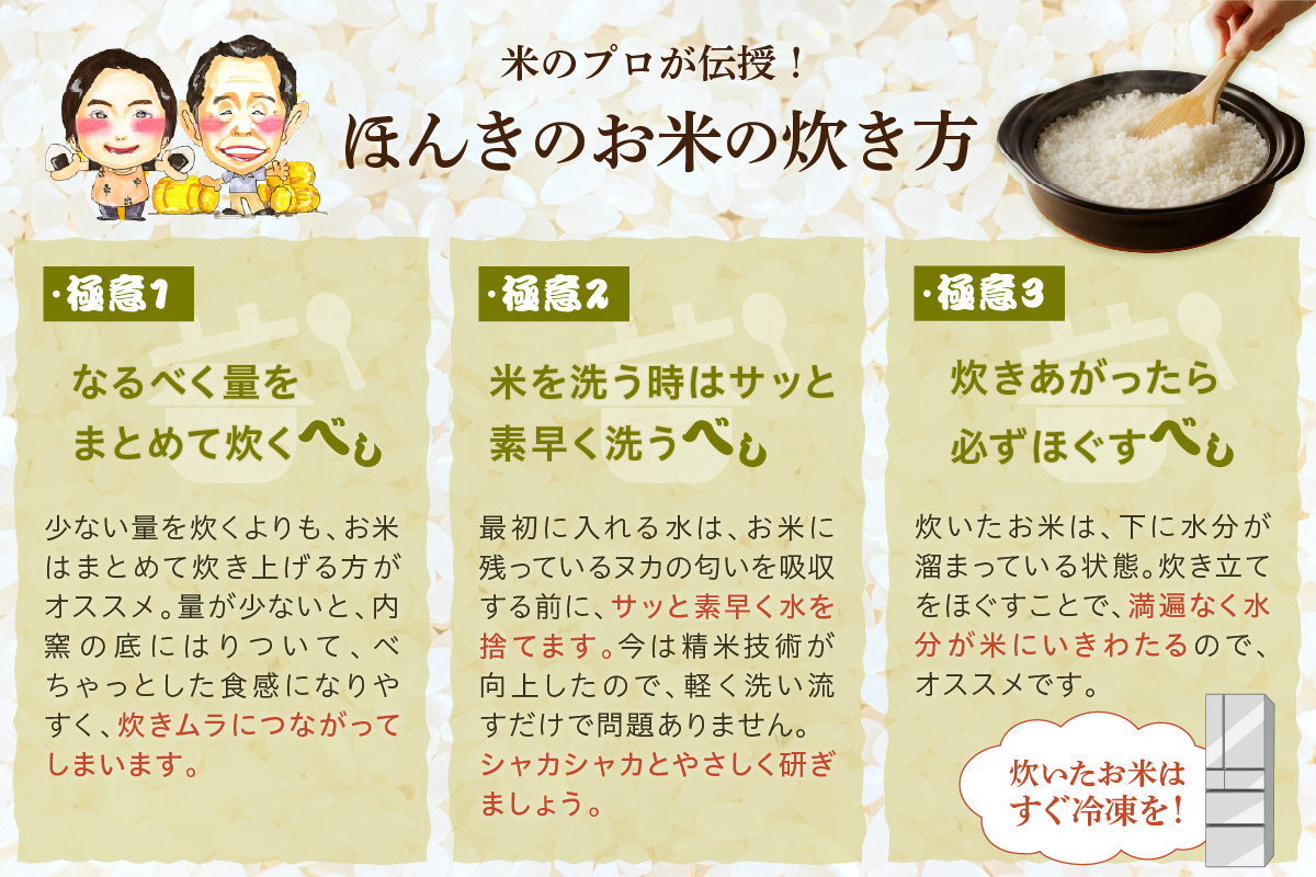 【令和6年産】ほんき村のこしひかり(10kg） お取り寄せ 特産 お米 精米 白米 ごはん ご飯 コメ 新米 新生活 応援 準備 １０キロ 10kg 10キロ 【49】