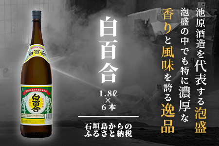 IK-6 池原酒造所 白百合1.8リットル 30度 6本セット