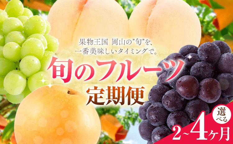 【定期便】旬のフルーツ定期便 岡山のﾌﾙｰﾂ 定期便 選べる 回数 コース 内容 2回 3回 4回 岡山県産 桃 シャインマスカット ニューピオーネ 梨 《7月上旬-12月末頃出荷》岡山県 笠岡市 フルーツ 旬 果物 ぶどう 梨 マスカット お取り寄せ---kasaoka_zsytei_324_ms2aa---