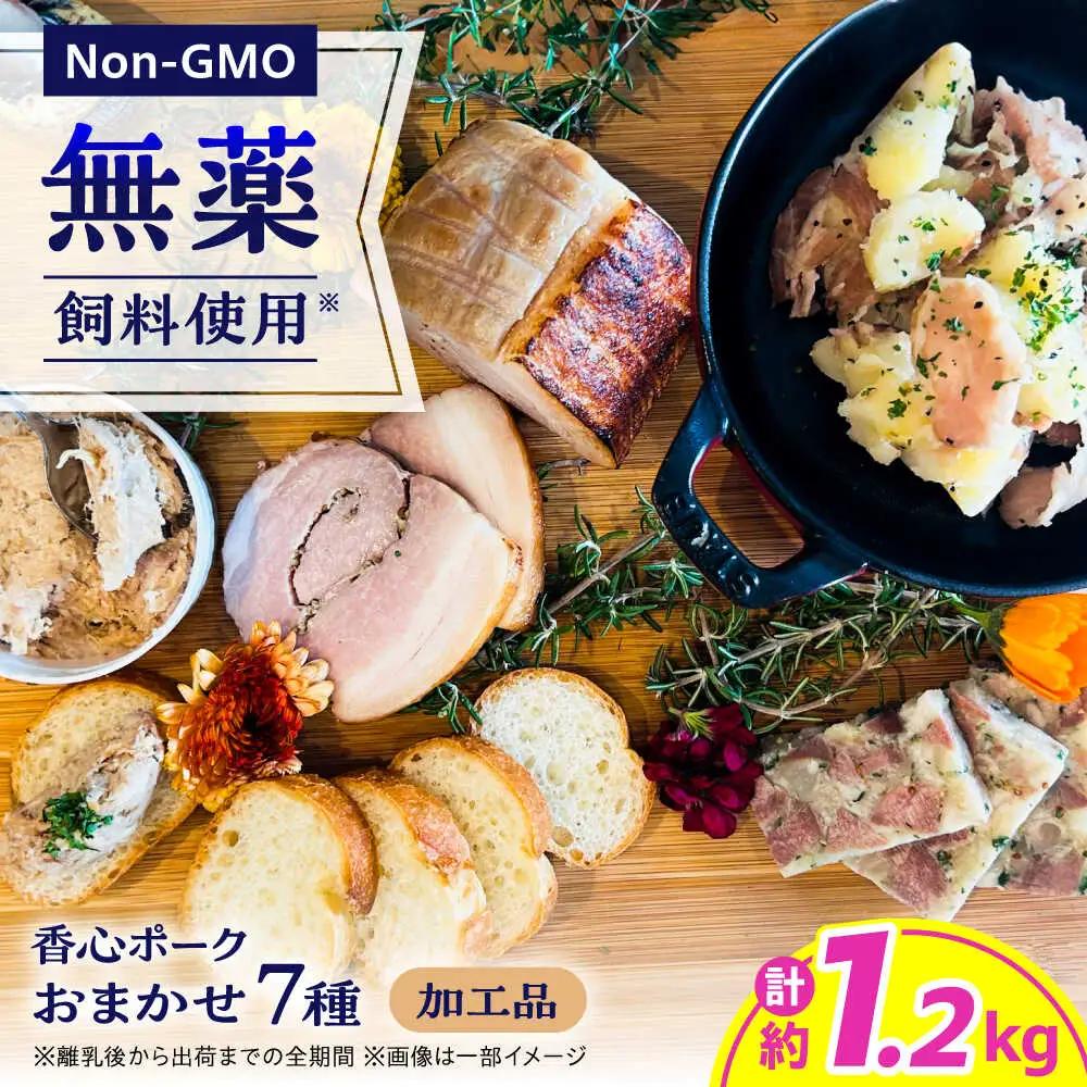 『香心ポーク』 加工品 詰め合わせ おまかせ 7品 セット 約1.2kg A5B2 豚肉 冷凍 熊本県産 [AYCK022]